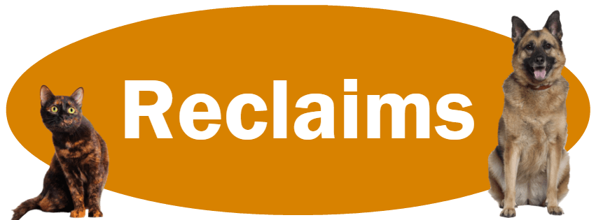 CLICK HERE To Learn About Our Reclaim Policies 
