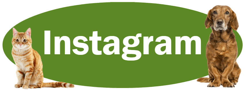 CLICK HERE for information about following us on Instagram 