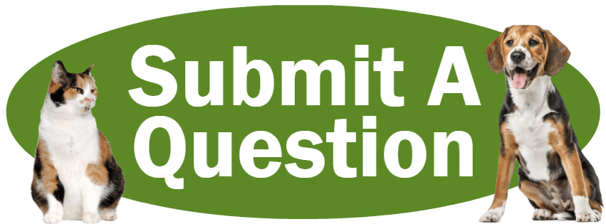 CLICK HERE to Submit A Question Online