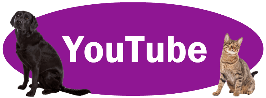 CLICK HERE for information about following us on YouTube