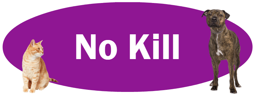 CLICK HERE for more information about our No Kill Policy & Reports