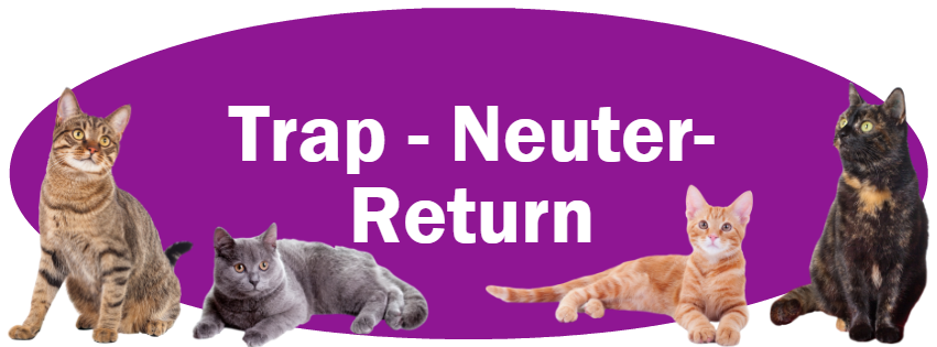 CLICK HERE for information about Trap-Neuter-Return