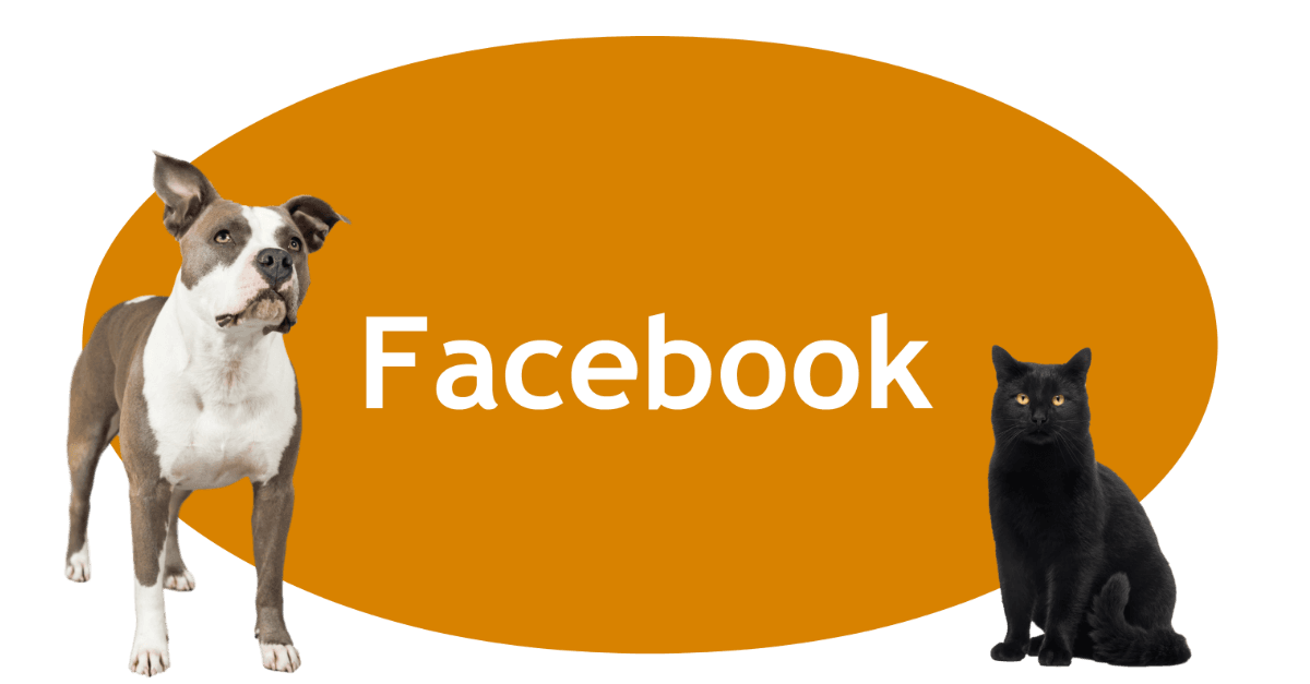 Facebook Page banner