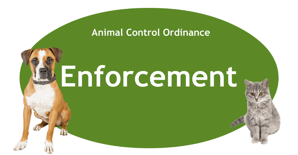 Enforcement Page Banner