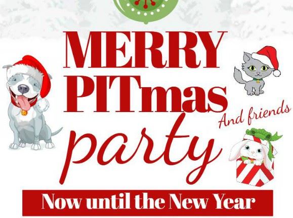 CLICK HERE for more information about the Merry PITmas & Friends Reduced Adoption Fee Program