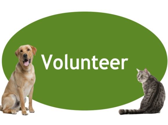 CLICK HERE to learn more about becoming a volunteer!
