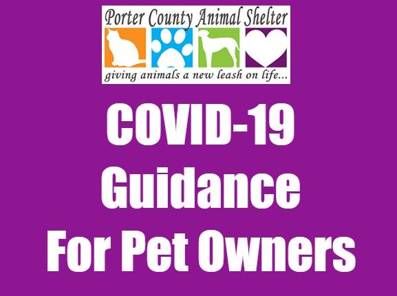 COVID 19 Guidance For Pet Owners