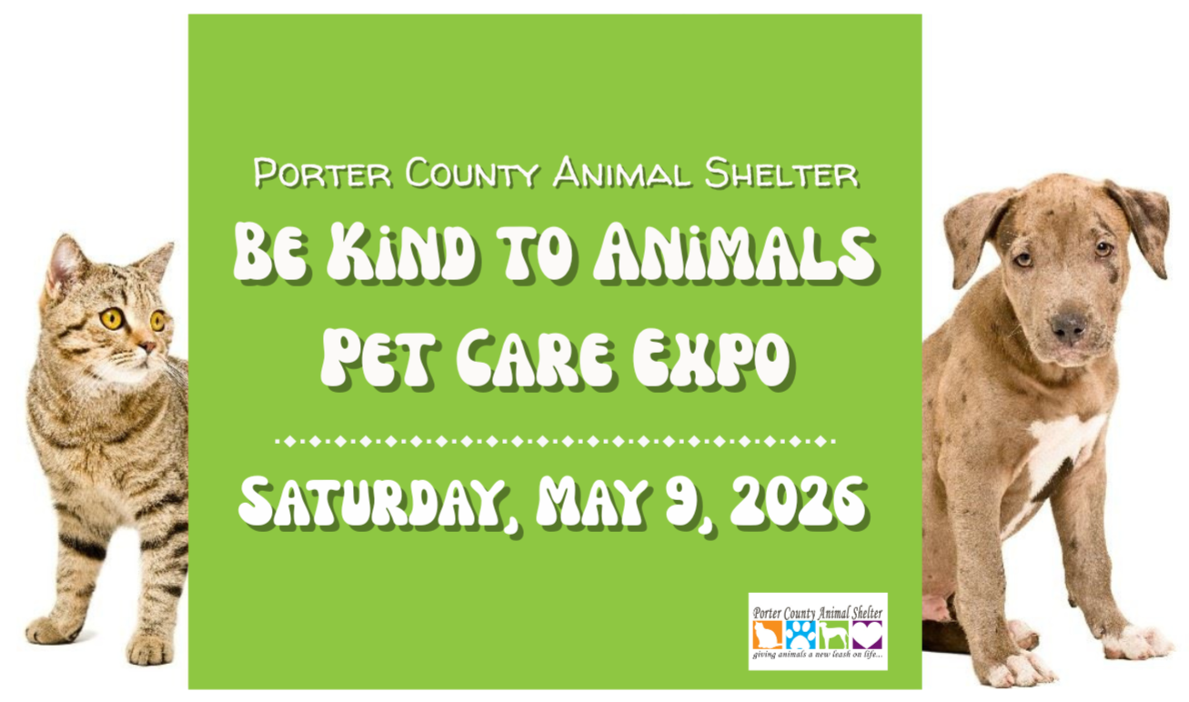 Be Kind to Animals Cover Image